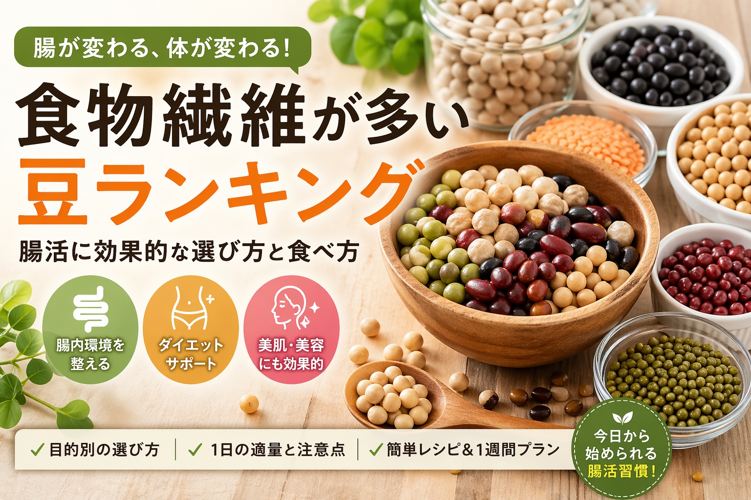 食物繊維たっぷり豆ランキング